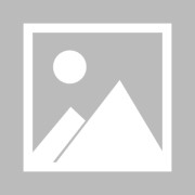 【中超】浙江队vs上海申花首发阵容名单(2025年08月16日)